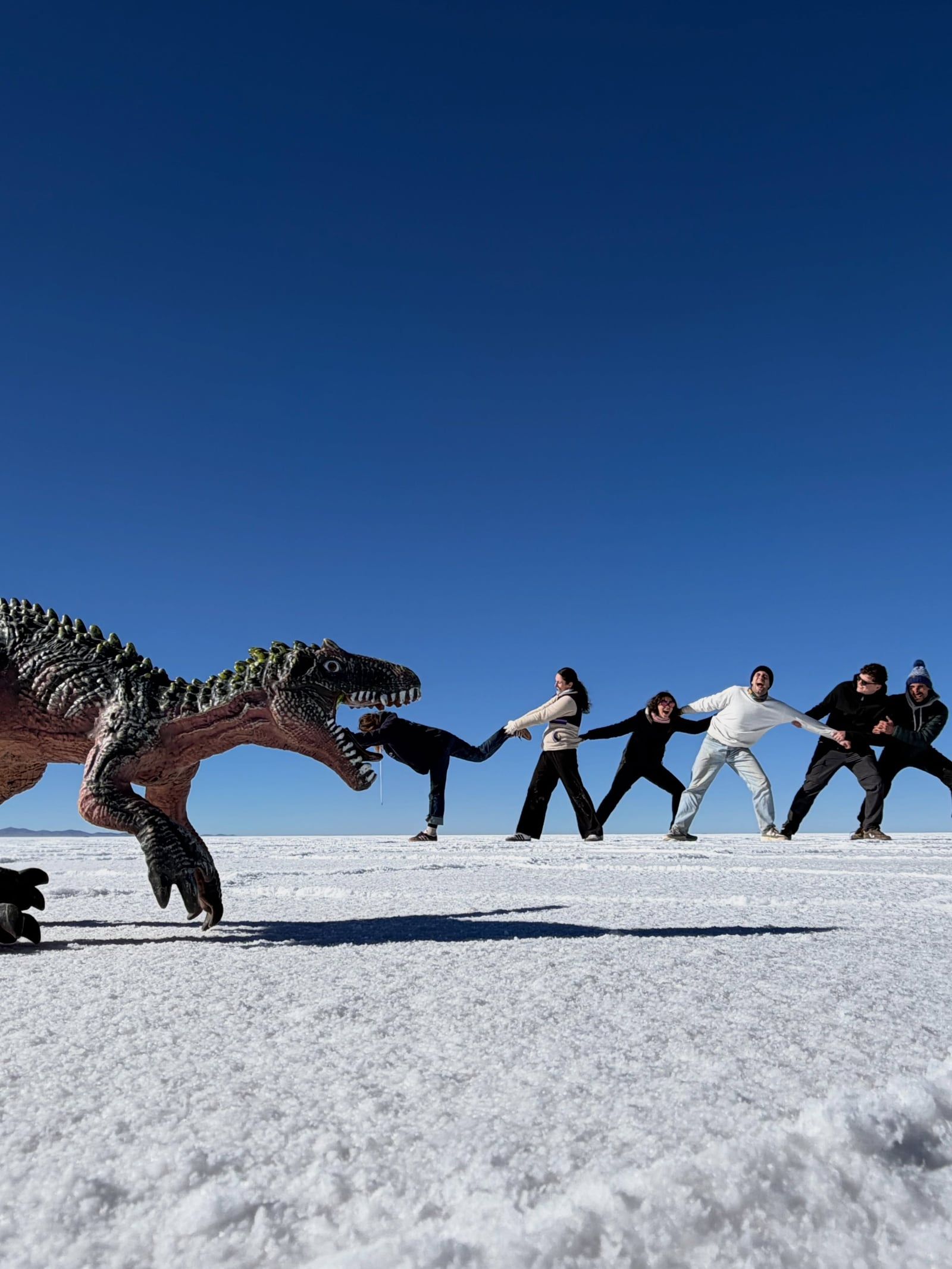 Uyuni Salt Flats tour visitor photo